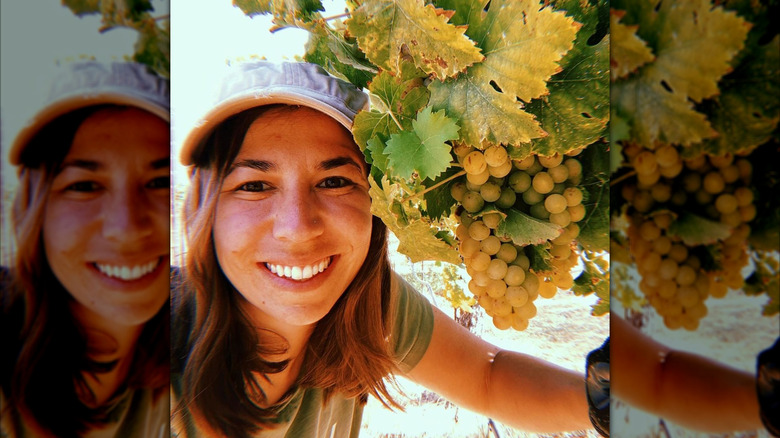 winemaker Megan Bell with bunch of grapes in vineyard