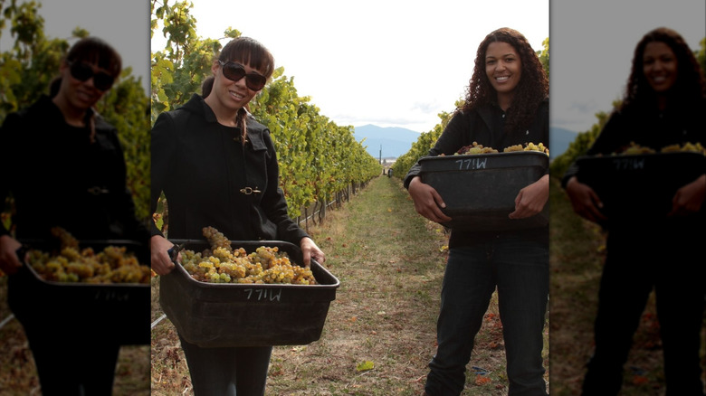 Robin and Andrea McBride winemaker sisters in a vineyard carrying plastic containers filled with grapes