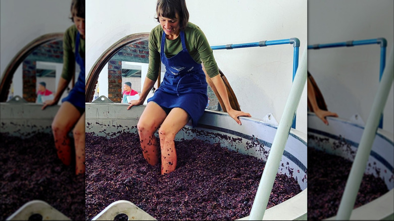 Jessica Saurwein winemaker stomping grapes in an open tank