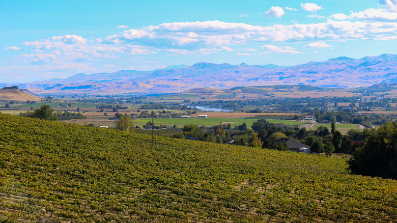 Snake River in Idaho