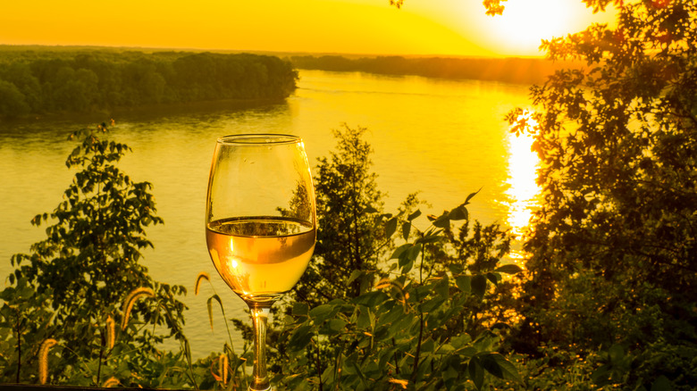 Glass of wine by Missouri River