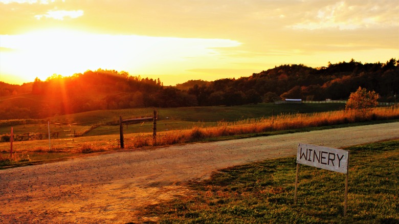 Wisconsin vineyard sunset