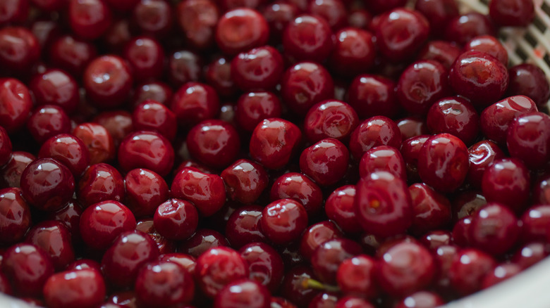 fresh cherries as background