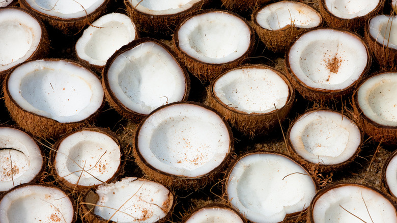 Coconut halves as background