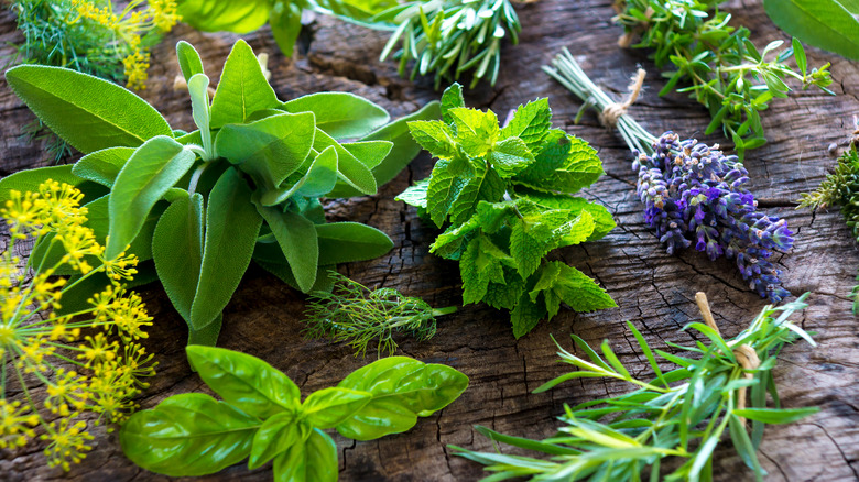 Assortment of fresh herbs