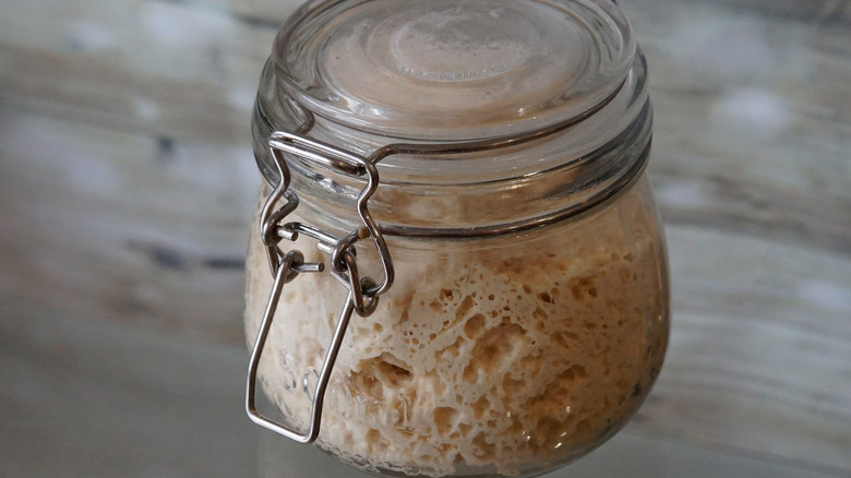 Sourdough starter in glass jar