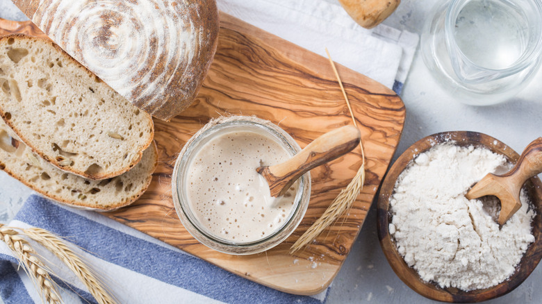 Sourdough bread flour starter