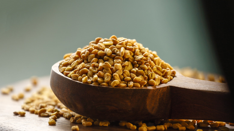 Wooden spoon full of fenugreek