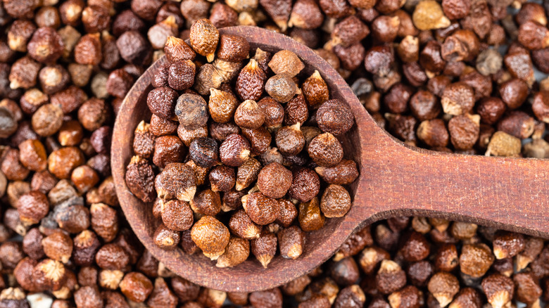 Grains of paradise on a round wooden spoon