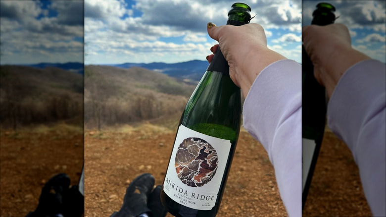 hand holding bottle of sparkling wine outdoors