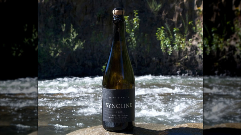 bottle of sparkling wine in front of river