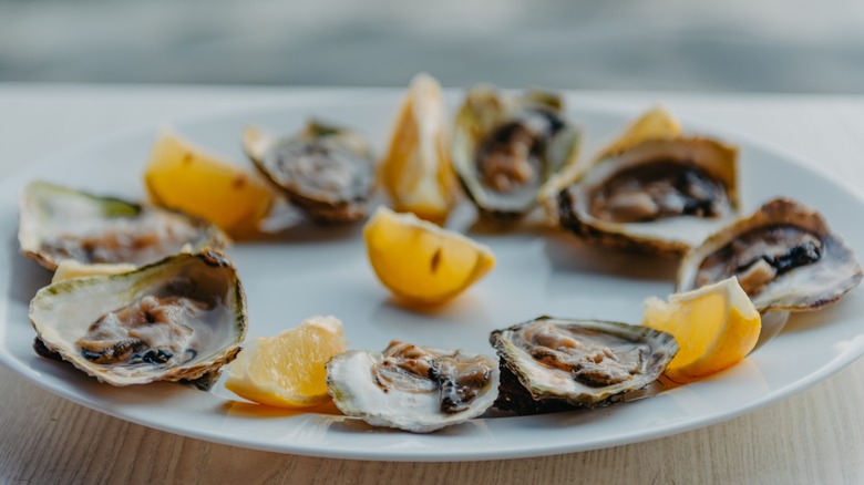 Oysters on the half shell