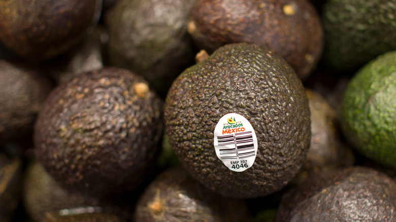 Avocado with produce sticker