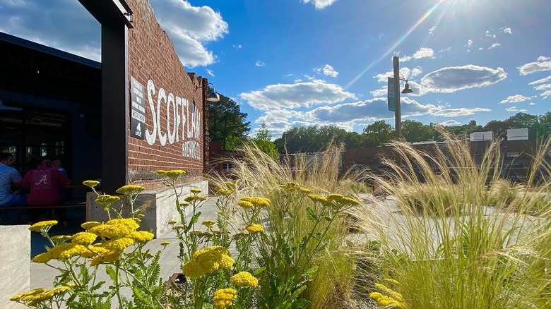 Exterior of Scofflaw Brewery framed by plants