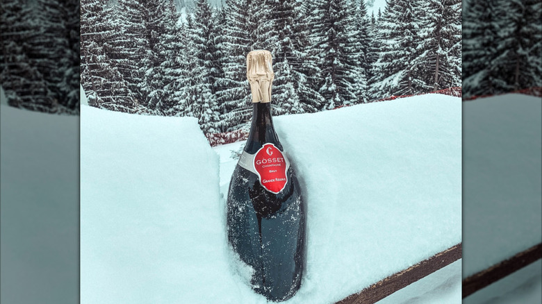 bottle of champagne in snow with snowy tree background