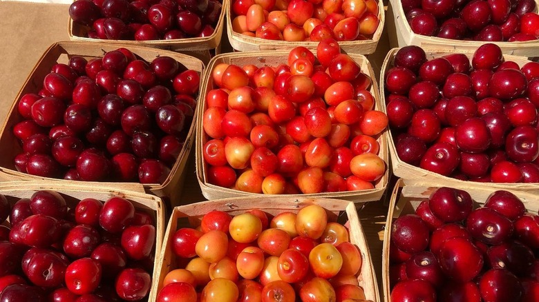 Cherries in containers