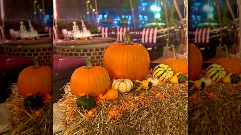 pumpkins and gourds at Barcocina