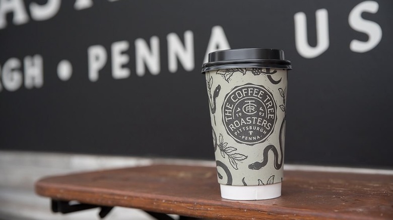 coffee tree cup on store table