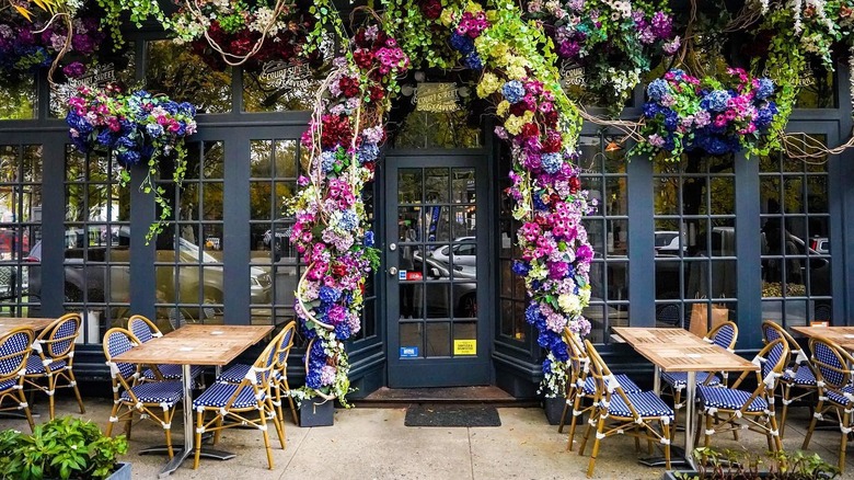 Flowers around Court Street Tavern