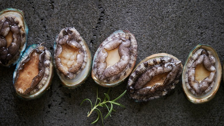 Abalone in shells