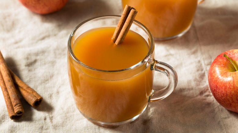 Glass mug of cider cinnamon stick apples