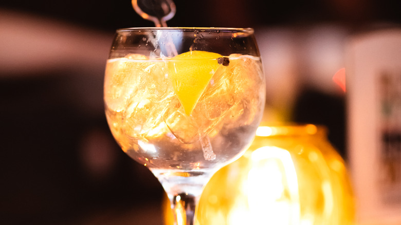 Glass with ice and fruit