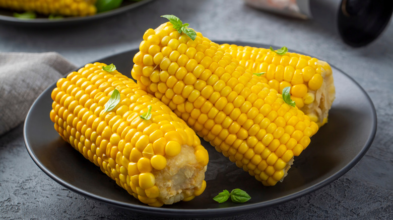 Boiled corn on the cob on black plate