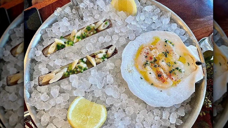 scallops and raw fish on ice plate