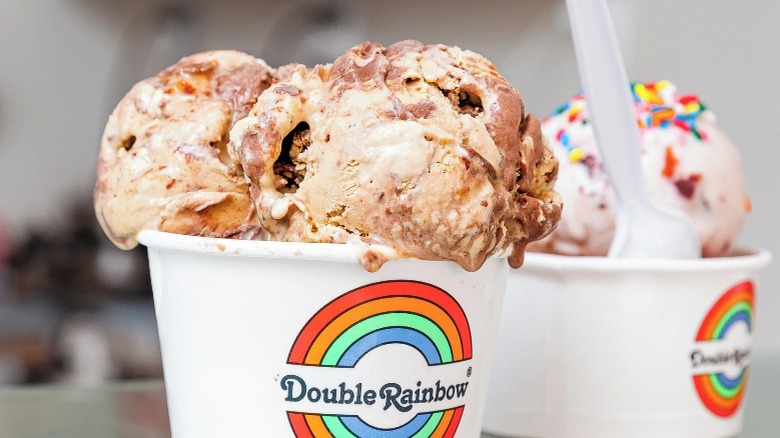 Cups of Double Rainbow ice cream 