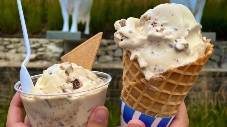 People holding up a cup and cone of custard