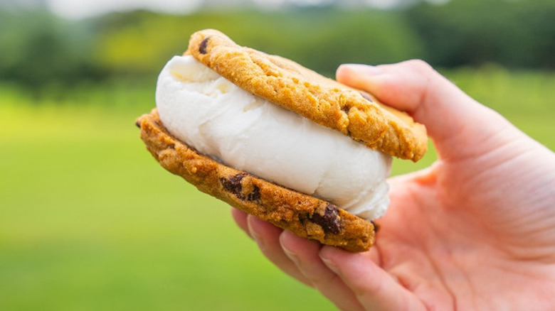 Ice cream sandwich