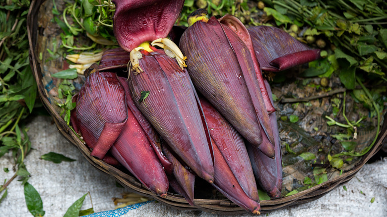 banana flowers in basket