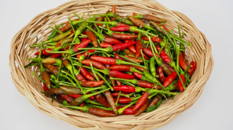 basket of bird's eye chilies