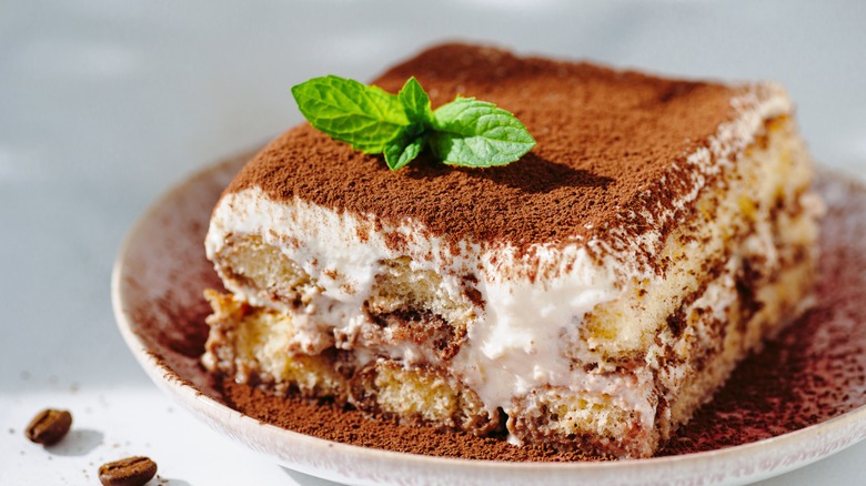 Tiramisu on a plate