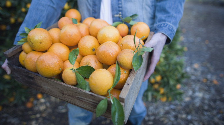 Crate of oranges