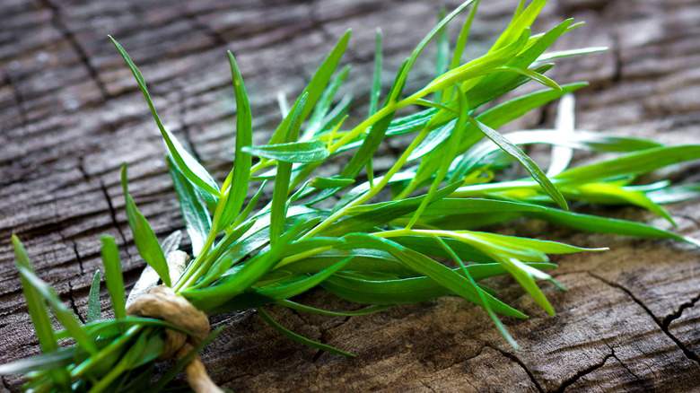 tarragon on a table