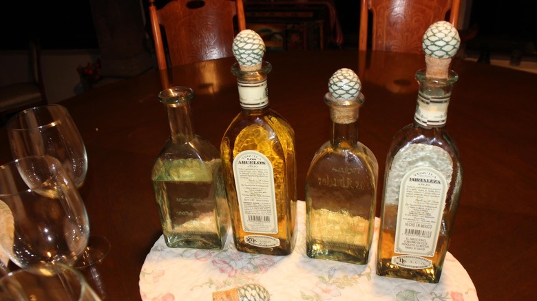 tequila bottles topped with agave