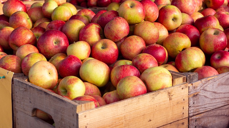 crate of honeycrisp apples