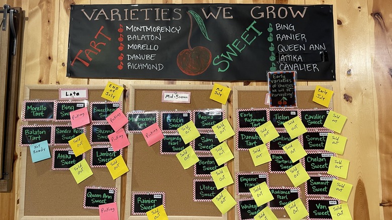 A board with cherry varieties