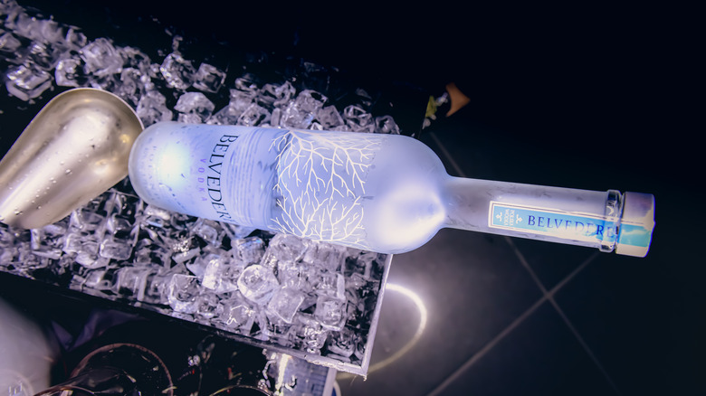 Belvedere Vodka Bottle on Ice with Scoop 