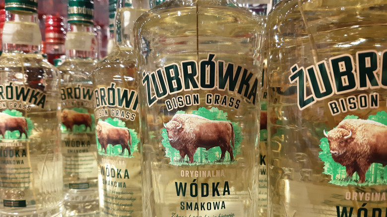 Multiple Bottles of Bison Grass Vodka 
