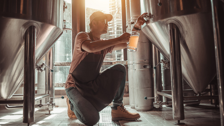 master brewer pouring beer