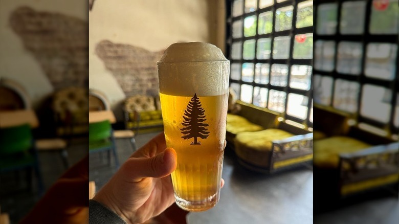 holding beer at Pensacola Odd Colony Brewery