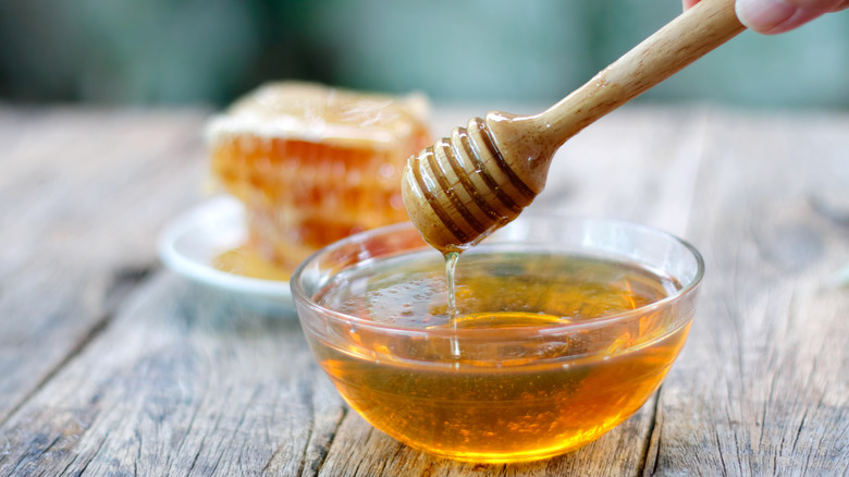 Small bowl of honey and honey dipper