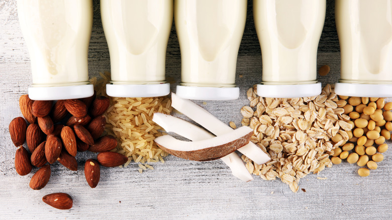 Plant-based alternative milks