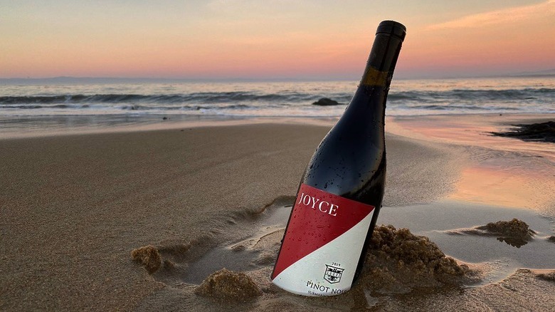 red wine bottle beach sunset