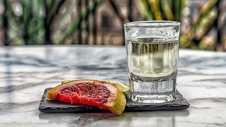 Shot of mezcal