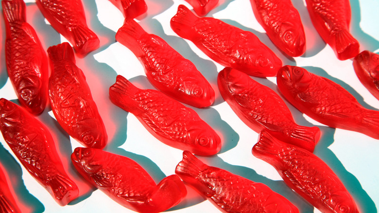 Swedish fish candies on white