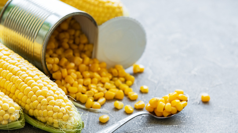 Canned and fresh corn