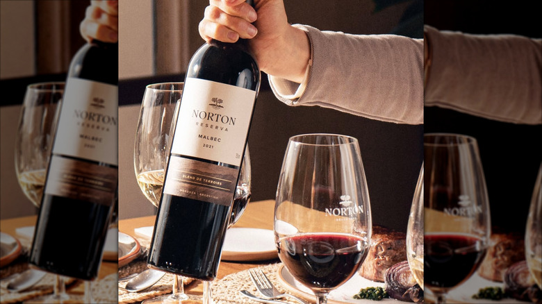 hand holding bottle of red wine with glass